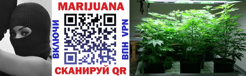 Канабис конопля Купить Бугульма